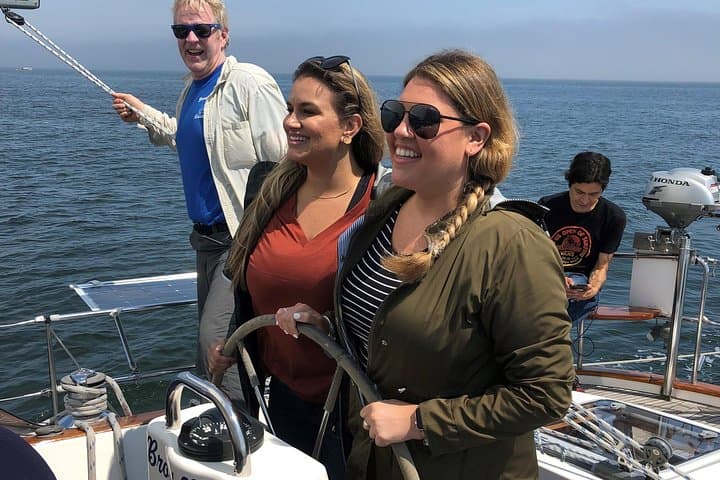 שייט הרחק: חקר את יופי החוף של מיין במהלך טיול של שעתיים