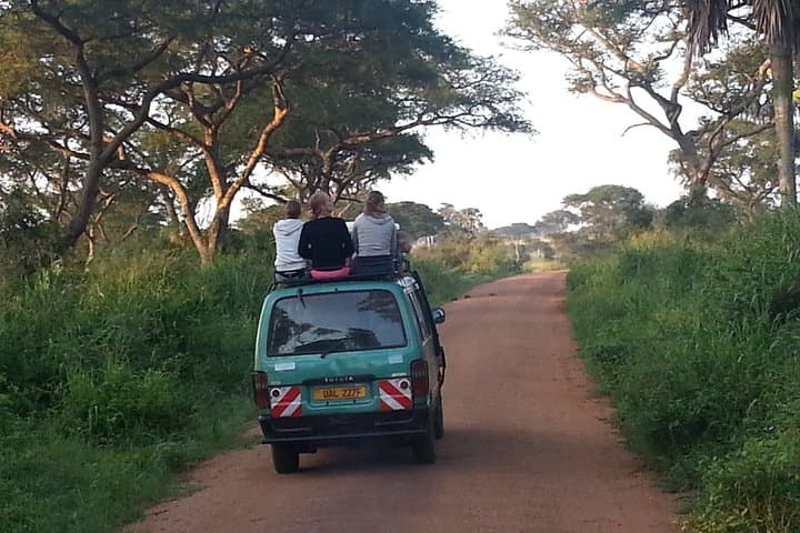 Murchison Falls Day Safari (Game Drive & Falls)