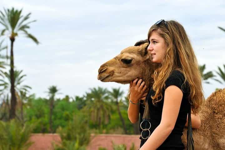 Marrakech: Full-Day Trip Atlas Mountains & Berber Villages Tour