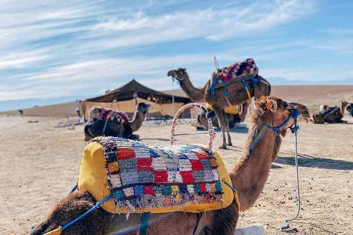 Marrakech: Full-Day Trip Atlas Mountains & Berber Villages Tour