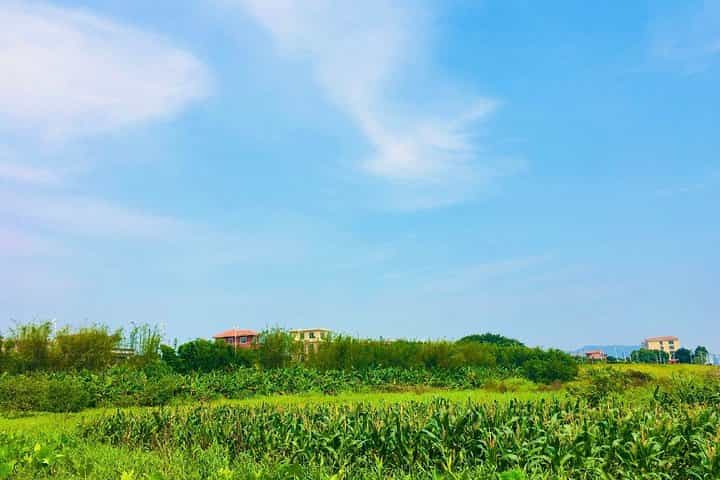 סיור יום פרטי מ Guangzhou לכפר ינקיאו, מתחם משפחת ווה, אי היישוא