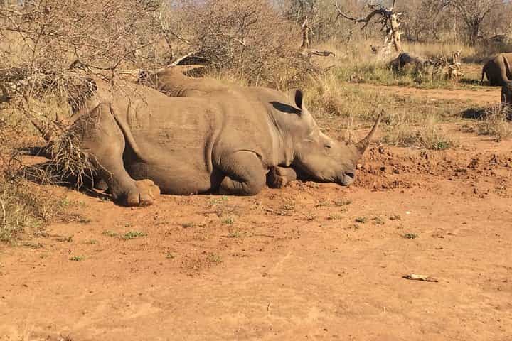 Journey to 2 Kingdoms and 2 Countries 12 Days/11 Nights (Comfort)