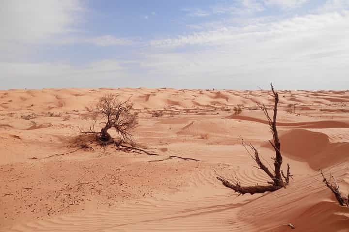 Unbeatable paths of TunisiaTour 7Days/ 6Nights