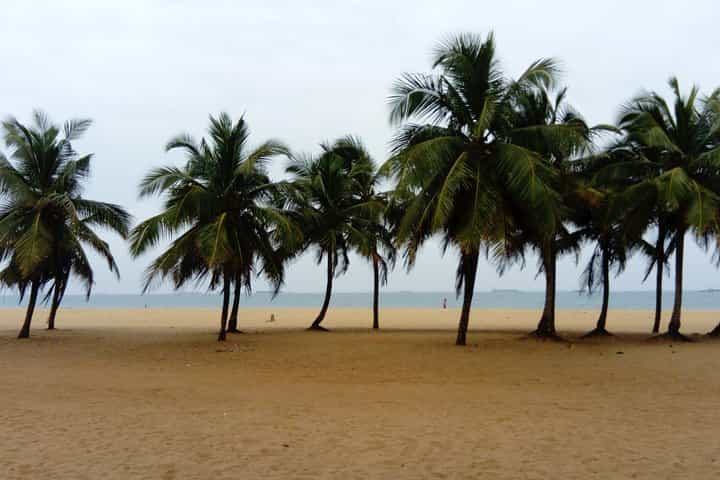 ספארי הרפתקאות בטוגו 8 ימים 7 לילות (נוחות)