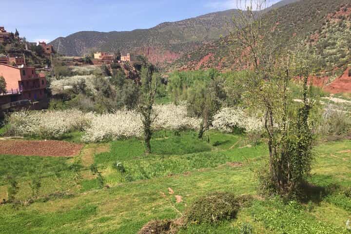 Marrakech Day Trip - Atlas Mountains & 3 Valleys
