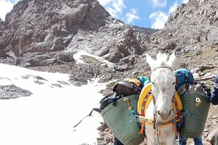 Marrakech: 3 Day Trek High Atlas Mountains & Berber Villages Trek