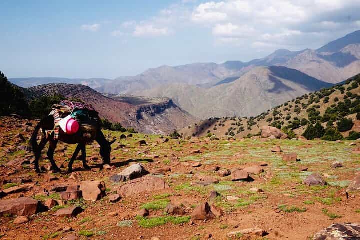 Marrakech: 3 Day Trek High Atlas Mountains & Berber Villages Trek