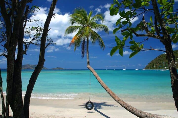 קריביאן בלו צ'רטרס - שייט יומי מלא - סירה כוח 35' מרלין