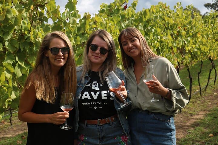 Small Group Hunter Valley Wine Tour w Lunch, Gin, Cheese & Choc