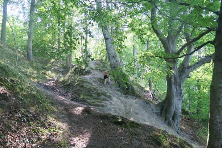 הרפתקת ריצת שטח קופנהגן הגדולה