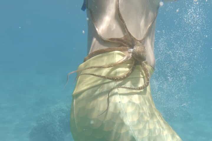 Private Guided Tours Beach Entry with Sea Scooters up to 5 guests