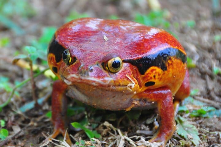 סיור פרטי של 3 ימים לפארק אנדאסיבה
