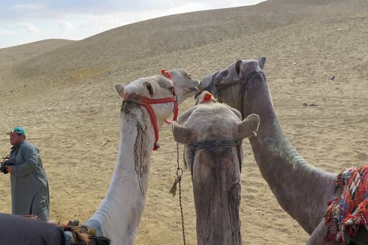 Private Cairo Tour: Giza Pyramids, Great Sphinx & Grand Egyptian
