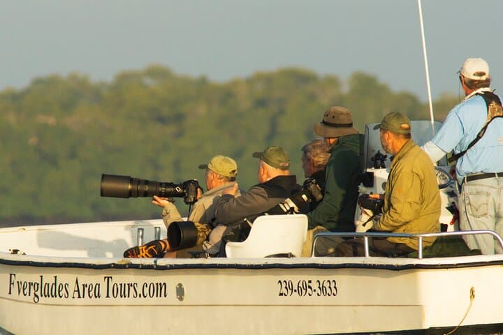 Private Everglades 10,000 Islands Photo and Birding Boat Safari
