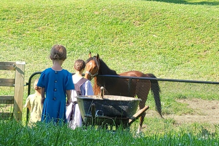 חוויה ממש אותנטית מלנקסטר!
