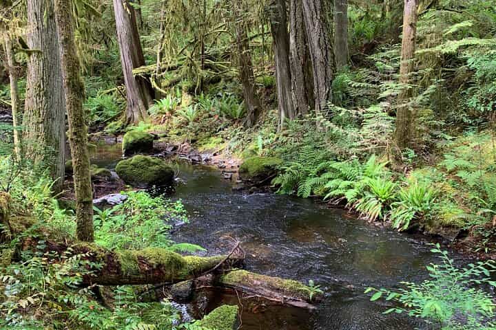 Sunshine Coast Escape (Around Vancouver) Small Group Tour