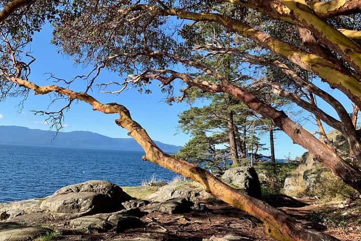 Sunshine Coast Escape (Around Vancouver) Small Group Tour
