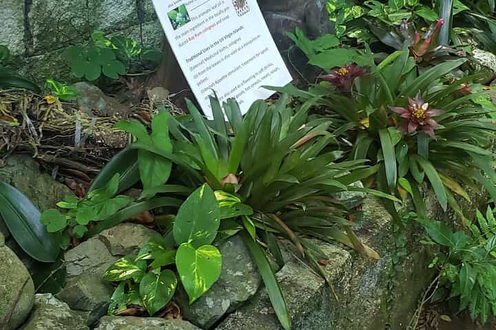 Nature and Sightseeing at Phantasea Tropical Botanical Garden