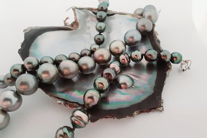 יום חצי "אוצרות ראיatea" בסירה - אידיאלי לנוסעי השייט