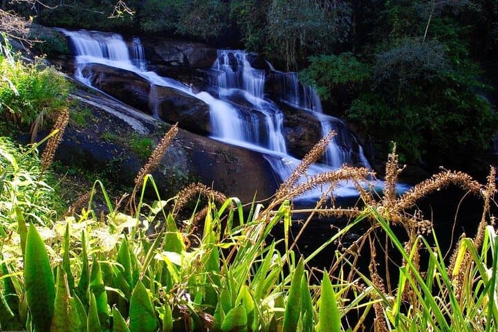 סיור ג'יפים למפלים ולמזקקות על ידי פרטי טורס