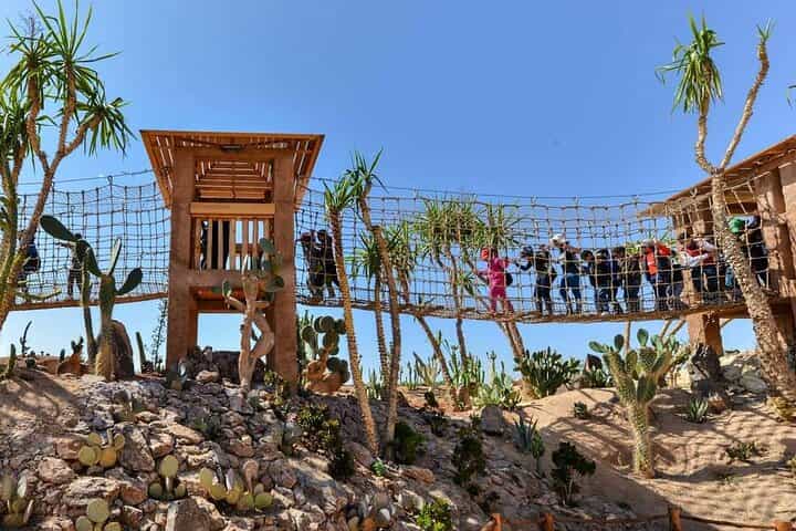 Crocodile Park including Transportation and entrance