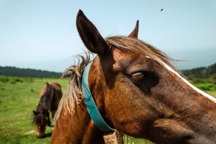Private Aizkorri Full-Day Trek from San Sebastian