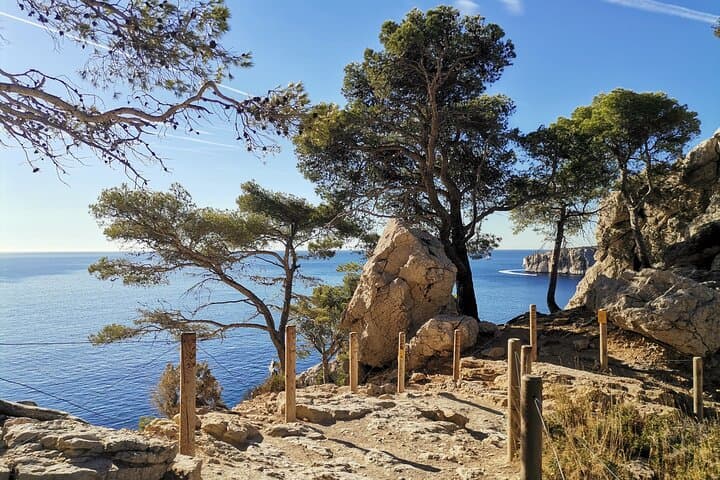 Hiking in the Calanques National park from Marseille