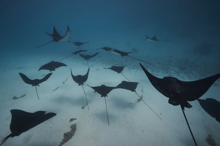 סיור לגונה - גלו את הלגונה המפוארת של מוראה