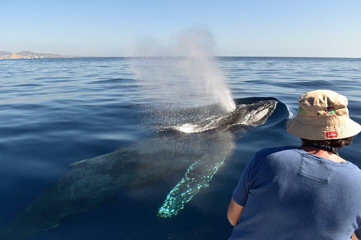 Whale Watching Cabo-Women crew-Sightings Guaranteed & Free Photos
