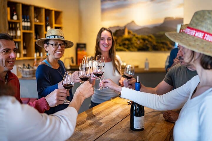 סיור יין קבוצתי קטן של חצי יום בלנגדוק פיק סן-לו ממונפלייה