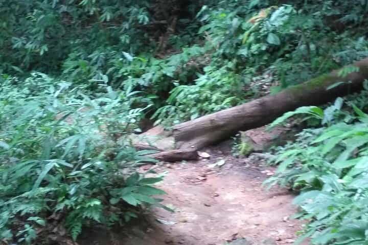 מסלול הרפתקאות במקדש סוטפ ומפלי מונטאתן משיאנג מאי