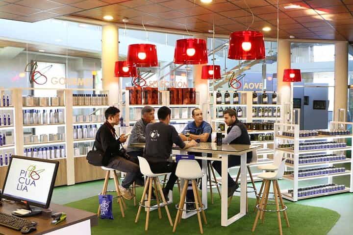 Picualia, olive oil mill tour & EVOO tasting