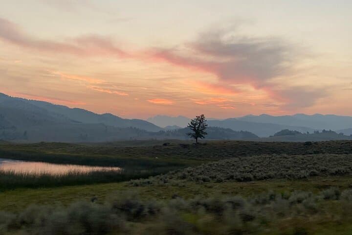 סיור פרטי לפגישות חיות בר בערב/שקיעה