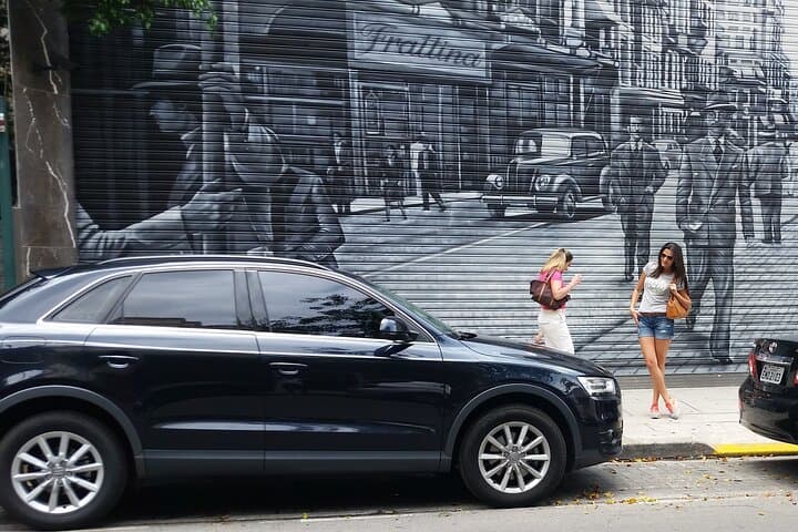 העברת פרטים משדה התעופה הבינלאומי לעיר סאו פאולו