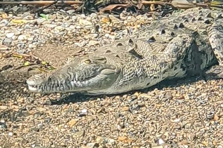 7 שעות במסלול קופי האי וההליכה בטבע בפארק הלאומי סוברניה