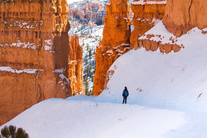 Bryce Canyon Full Day Private Tour & Hike
