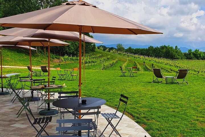 טעימת פרוסקו לא קונבנציונלית עם נוף מרהיב על כרמים