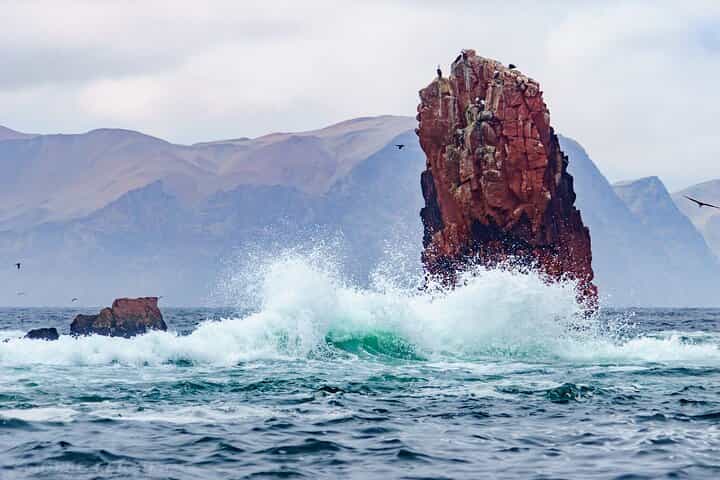 Lima City Tour + Palomino Islands – Colonial Area & Miraflores