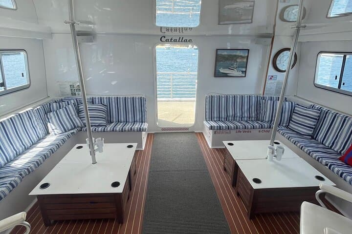 צפייה בלוויתנים יוקרתית: פחות אנשים, מהירות נוספת, צוות מומחים