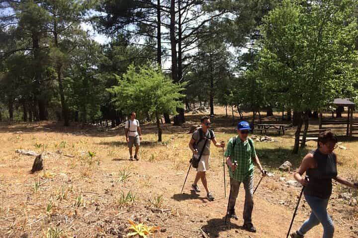 טיול רגלי באיזורי רודוס. גלו את הצמחייה, החי, ההיסטוריה והמסורת.
