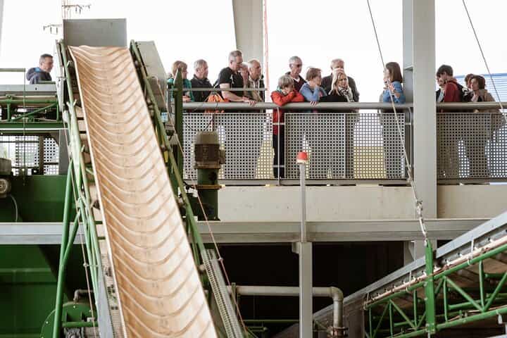 Picualia, olive oil mill tour & EVOO tasting