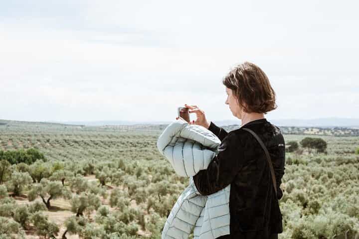 Picualia, olive oil mill tour & EVOO tasting