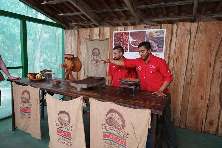 סיור קפה, שוקולד וסוכר קנה (רגיל)