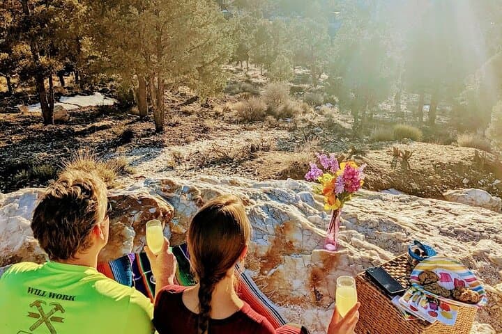 סיור טיול רגלי מודרך בביג בייר עם טוסט שמפניה לשקיעה על דוק פרטי