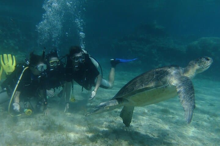 צלילת סקובה חוויה בפעם הראשונה