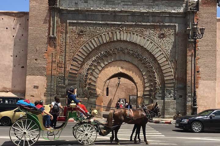 Horse carriage tours Majorelle-Menara garden & the YSL museum