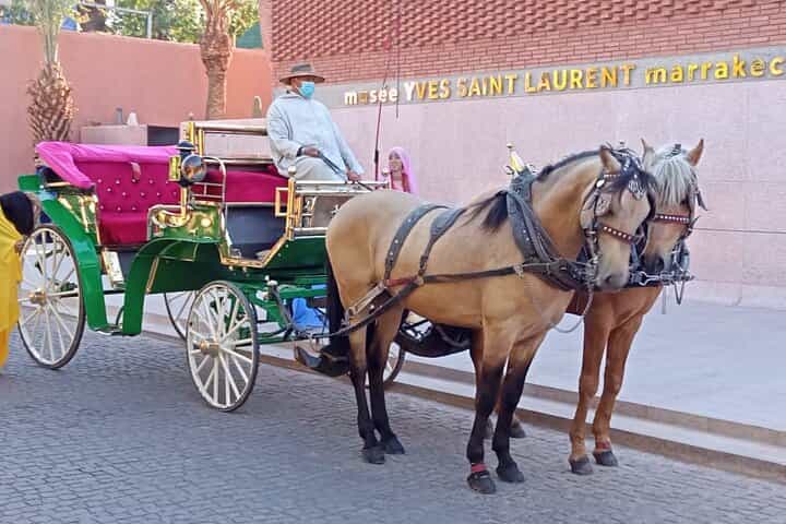 Horse carriage tours Majorelle-Menara garden & the YSL museum