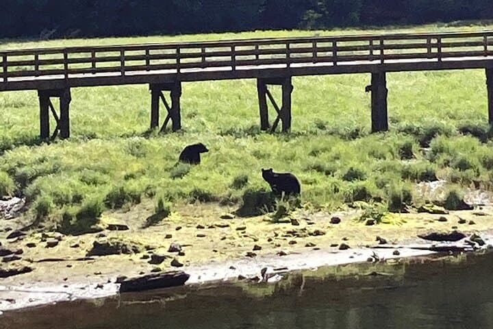 סיורי 'OVER THE TOP' הדגשים של העיר, חיות בר ועוד!