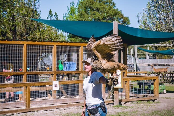 קטע הרב תחומים של אזור גולף שורס ואורנג' ביץ'