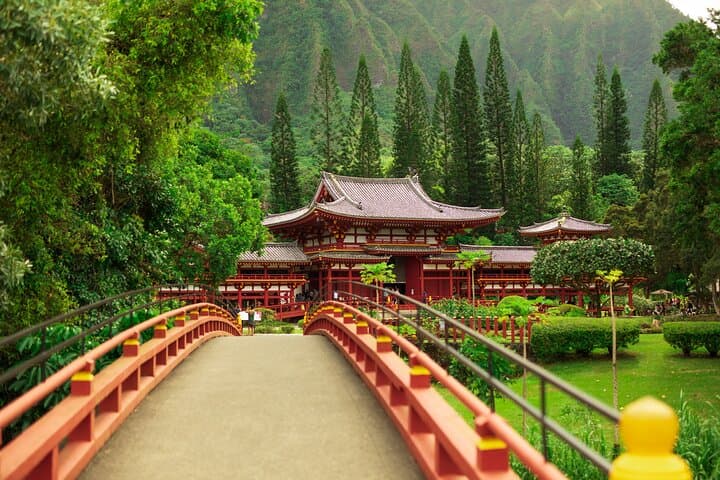 סיור מעגלי מהודר עם ארוחה